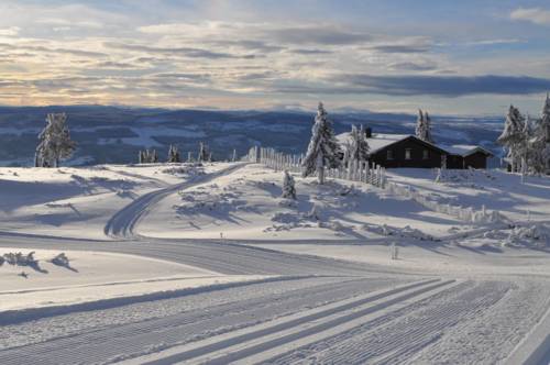 Gol Norway Promo Code Booking.com