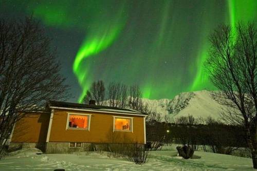 Jøvik Norway Promo Code Booking.com
