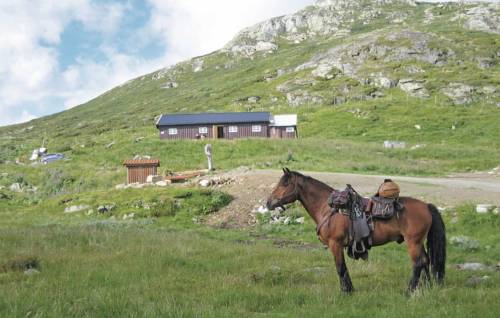 ÅL Norway Promo Code Booking.com